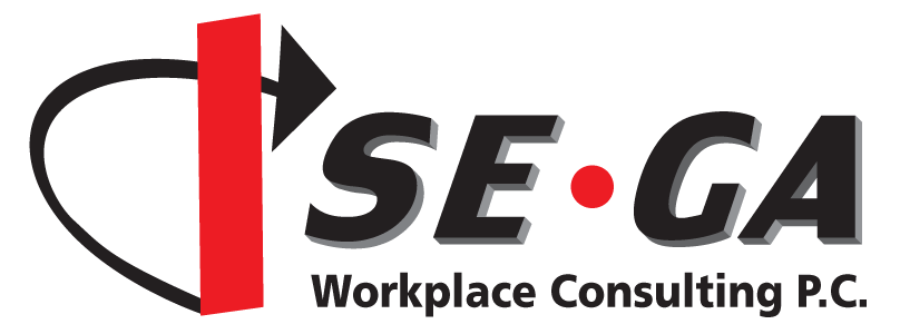 SEGA Workplace Consulting