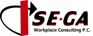 SEGA Workplace Consulting